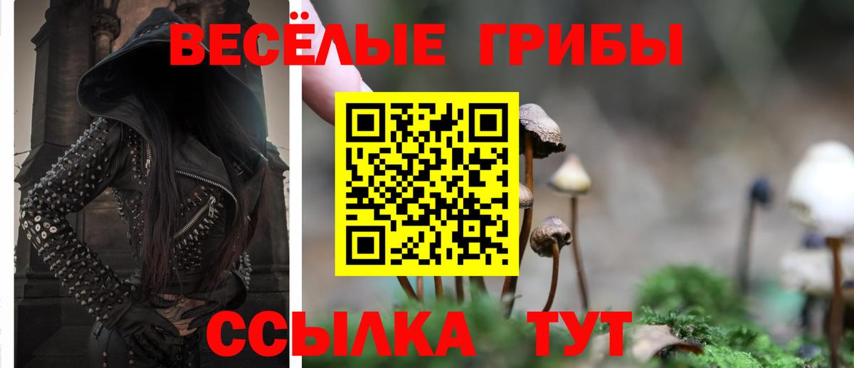 Волгоград  Галлюциногенные грибы MAGIC MUSHROOMS  Вход с VPN 